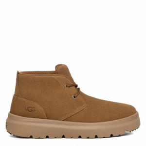 Ugg Mens Burleigh Chukka Chestnut