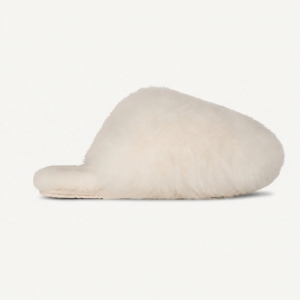 Ugg Women