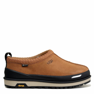 Ugg Men Tasman Slipper Gtx Chestnut